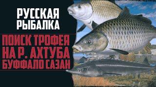 Поиск Трофейного САЗАНА на р. Ахтуба | Фарм Серебра на Буффало  Русская Рыбалка 4