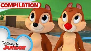 Adventures with Chip 'N Dale ️ | Nutty Tales | Shake Your Tail | 1 Hour Compilation |@disneyjunior