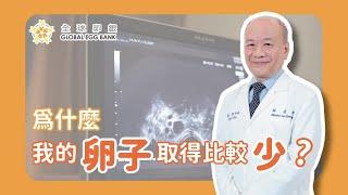 【好孕智多星Dr.IVF】取卵數影響試管嬰兒成功率！