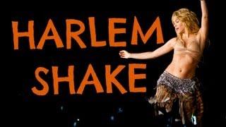 Shakira Harlem Shake (original)