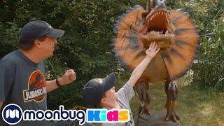 Dinosaurios en la Granja y Parque de Gulliver | Dinosarios Videos para Niños | Moonbug Kids