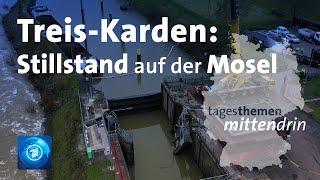 Treis-Karden: Stillstand auf der Mosel | tagesthemen mittendrin