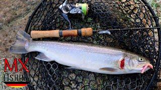 Saiblinge im Überfluss!/ Ein Einblick in die Primedays/ Forellen fischen mit Kunstködern/ Trout Area