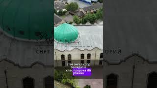 Кто такие ваххабиты? Факты или недоразумение?#КтоТакиеВаххабиты #Ваххабизм #ИсторияИслама #shorts