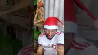 Chico não perdoou nem no Natal  #sãoluís #natal #chico #macaquinho #meme #humor #funnymemes