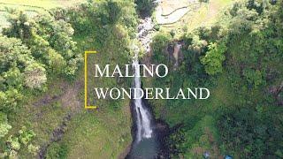 Nature Drone View | Malino Wonderland, Gowa, Indonesia | DJI Mavic 2 Pro