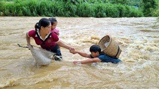 How to harvest stream fish thanks to flood water in the rainy season