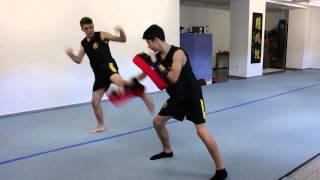 Kung Fu - Sanda brothers relaxed training - Vienna Wushu Guan