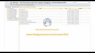 [Course24h.com] Liz Herrera - The Hurricane Cash Flow System