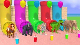 Long Slide Game With Cow Elephant Tiger Gorilla T-Rex 3d Animal Game Funny 3d Animals Cage Game