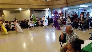 Desfile en trajes de fantasia 2019 de la Orquidea.