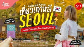 เที่ยวเกาหลี  โซล (Seoul) 서울 รวมพิกัดจุดใบไม้เปลี่ยนสี อัพเดทปี 2024  EP.1 | VLOG