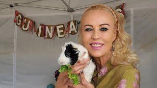 Live Guinea Pig Rescue Saturday with Saskia