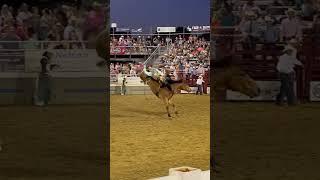 Bareback bronc rider gets it done in Gladewater! #shorts #rodeoshorts #broncriding #broncs #cowboy