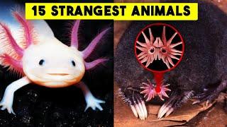 15 STRANGEST Animals On Earth You Don't Know Exist