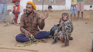 Monkey Dance Funny Video || Bandar ka Khel || बंदर का खेल || Monkey Funny Video || Bandar ka Tamasha