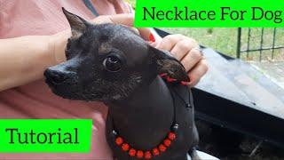 How To Make Fine Necklace For Dog - DIY Necklace For Dog Tutorial