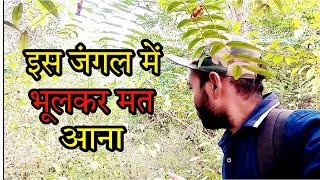 भूलकर मत आना इस जंगल मे  ।।   घनघोर जंगल    b pangan