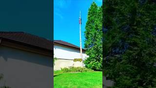 Ландшафтный дизайн на участке #shortvideo #shorts #design #дача #дизайн #участок #ланшафтныйдизайн