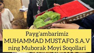 PAYG’AMBARIMIZ MUHAMMAD MUSTAFO S.A.V NING MUBORAK MOYI SOQOLLARI | RAMAZON TUHFASI