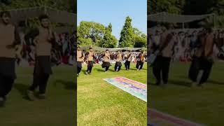 pashtun cultural day attan at university of Lahore