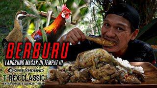 BIKIN NGILER‼️CAMPING DAN BERBURU‼️BERBURU AYAM HUTAN DAN BURUNG RUAK WERIS‼️GREYHOUND T-REX‼️