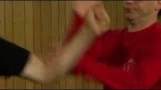 Wing Tsun