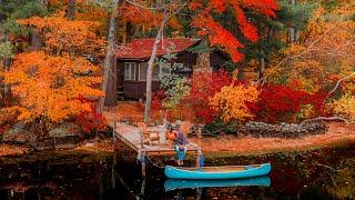 Cozy Cabin Autumn Escape with my Dog