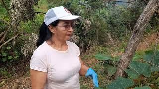 Visita huerta de Dora Muñoz