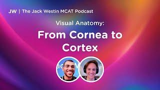 Visual Anatomy: From Cornea to Cortex I Jack Westin MCAT Podcast