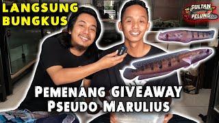 GIVEAWAY  LANGSUNG BUNGKUS PSEUDO MARULIUS DI GALLERY SULTAN PELUNG