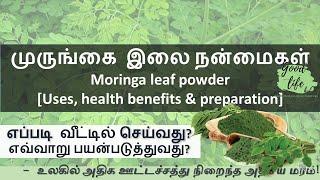Moringa / Drumstick leaf powder Uses, health benefits and preparation in Tamil. முருங்கை இலை பொடி