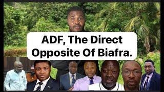 Can Cho Ayaba & His Group Learn From Biafra?