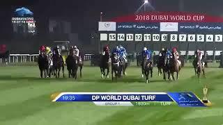 BENBATL (GB)  2018 Dubai Turf G1 1800M