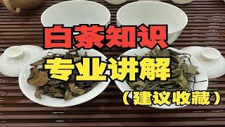 开箱试喝网友给我寄的6款白茶，喝完感觉：涨见识了！