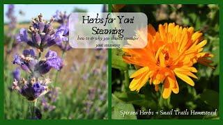 How to Choose Herbs for Yoni Steaming