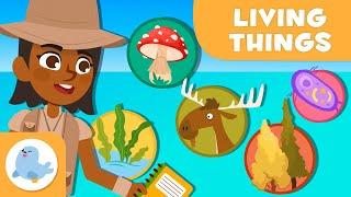 The Classification of Living Things   5 ANIMAL KINGDOMS  Science for Kids