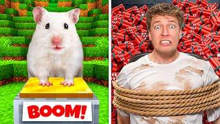 I Built Minecraft For A Real Hamster! 