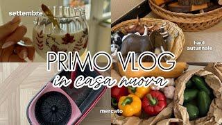 VLOG DAY  vita da mamma, haul autunnale e detersivi