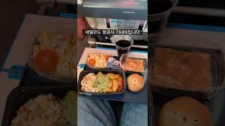 한국보다 훨씬 잘 나오는 유럽 기내식