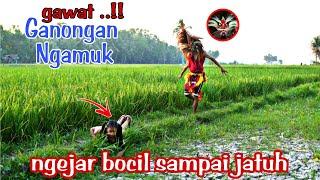 GAWAT ..!! MARKONAH DIKEJAR   BARONGAN GANONGAN NGAMUK