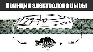 Зачем в СССР сами рекламировали рыболовные электроудочки?
