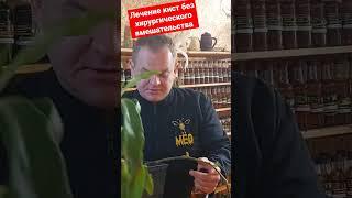 золотой ус от кист любого вида