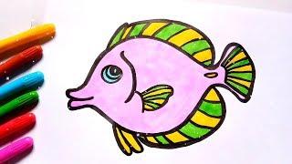 Fish draw and coloring for kids, toddlers | Children's coloring pages | Kidslet's color 