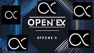 OpenEX DAO Update: TGE Postponement, Team Changes, and Future Opportunities