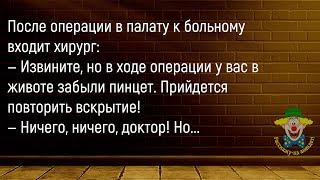 По Улице Идёт Мужик С Ружьём...Сборник Новых Смешных Анекдотов,Для Супер Настроения!