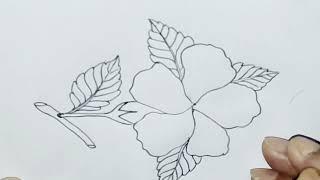 How to drawing easy beautiful "Chain-rose"(জবা ফুল)with pencil "️