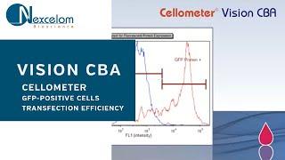 Measure GFP-Positive Cells to Determine Transfection Efficiency