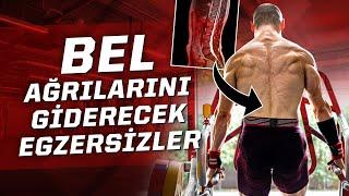 Bel Ağrısı için En İyi Core Egzersizleri!