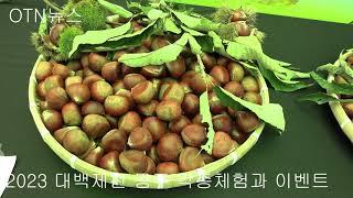 (OTN매거진)2023 대백제전 공주지역 각종체험 및 이벤트 프로그램.